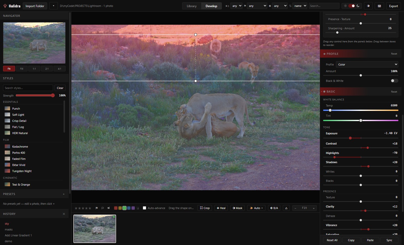 Halidra's Develop module with a lion photograph open, a Linear Gradient mask applied to the sky, and the edit history listing the mask operations.